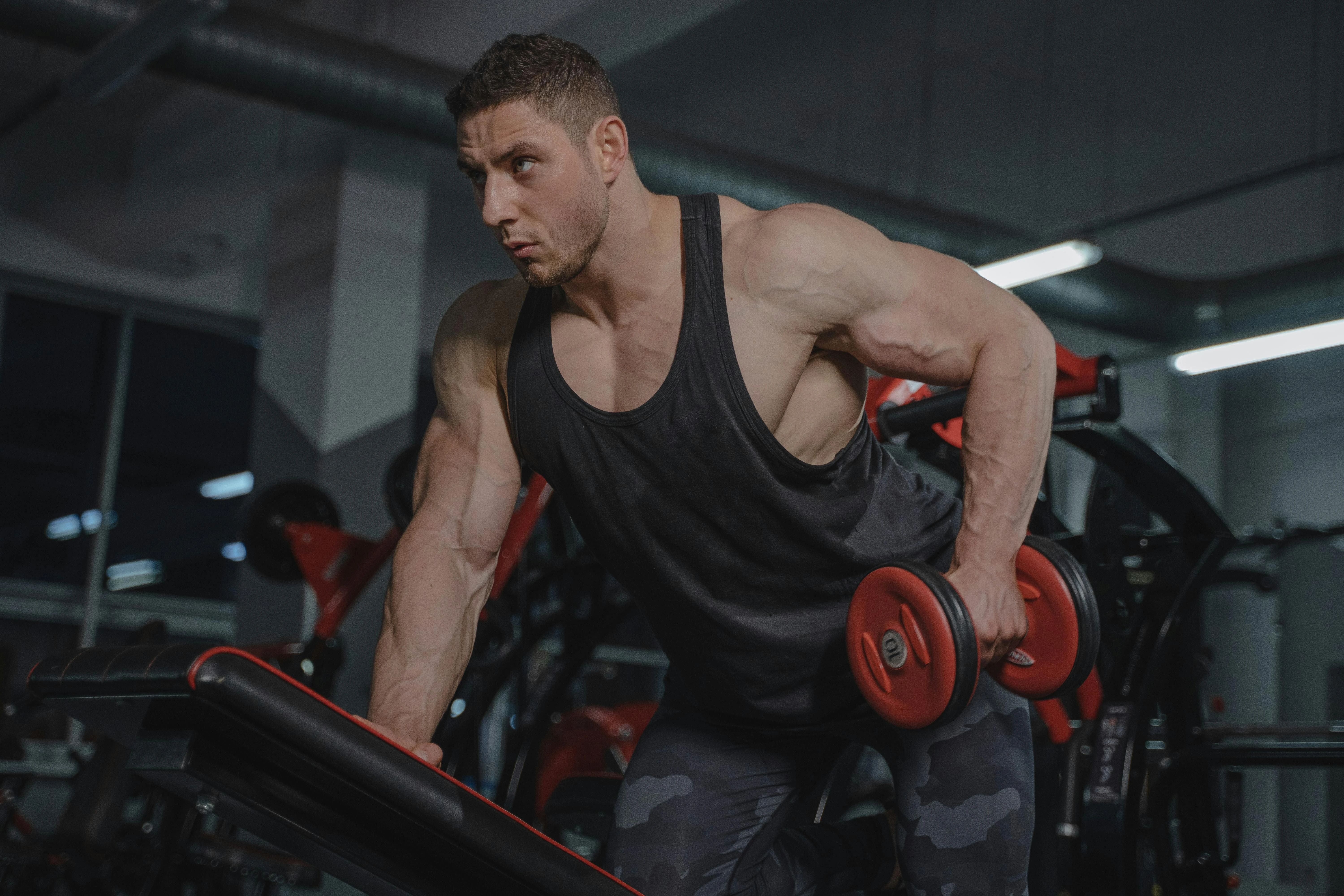 Fitness & Musculation